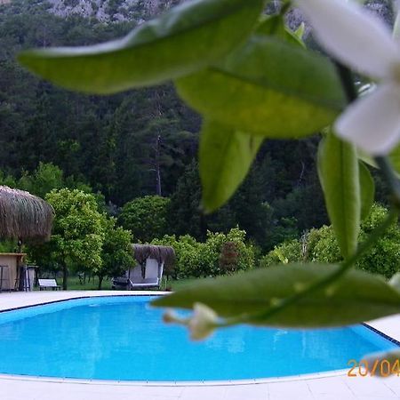 Portalimo Lodge Hotel - Adult Only +12 Çıralı 外观 照片