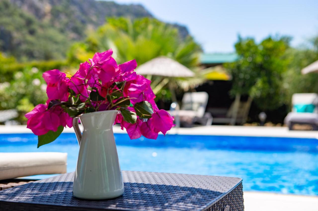 Portalimo Lodge Hotel - Adult Only +12 Çıralı 外观 照片