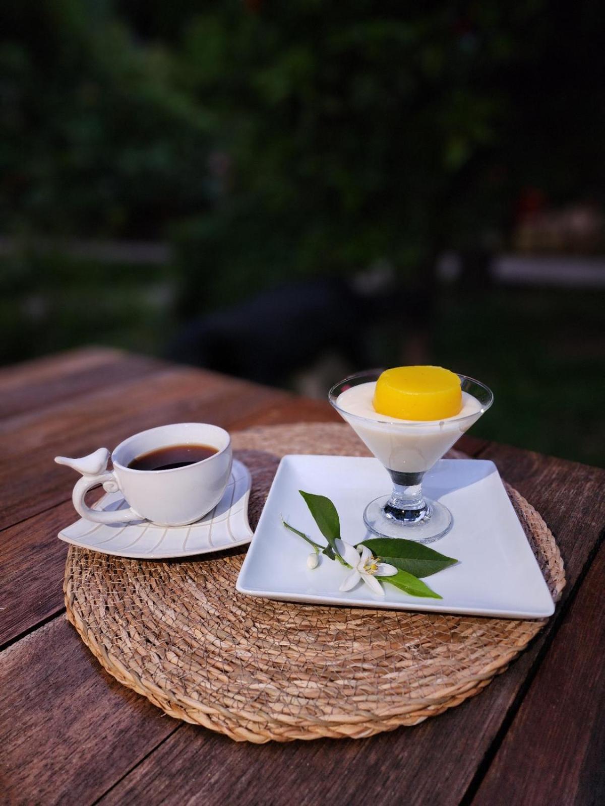 Portalimo Lodge Hotel - Adult Only +12 Çıralı 外观 照片