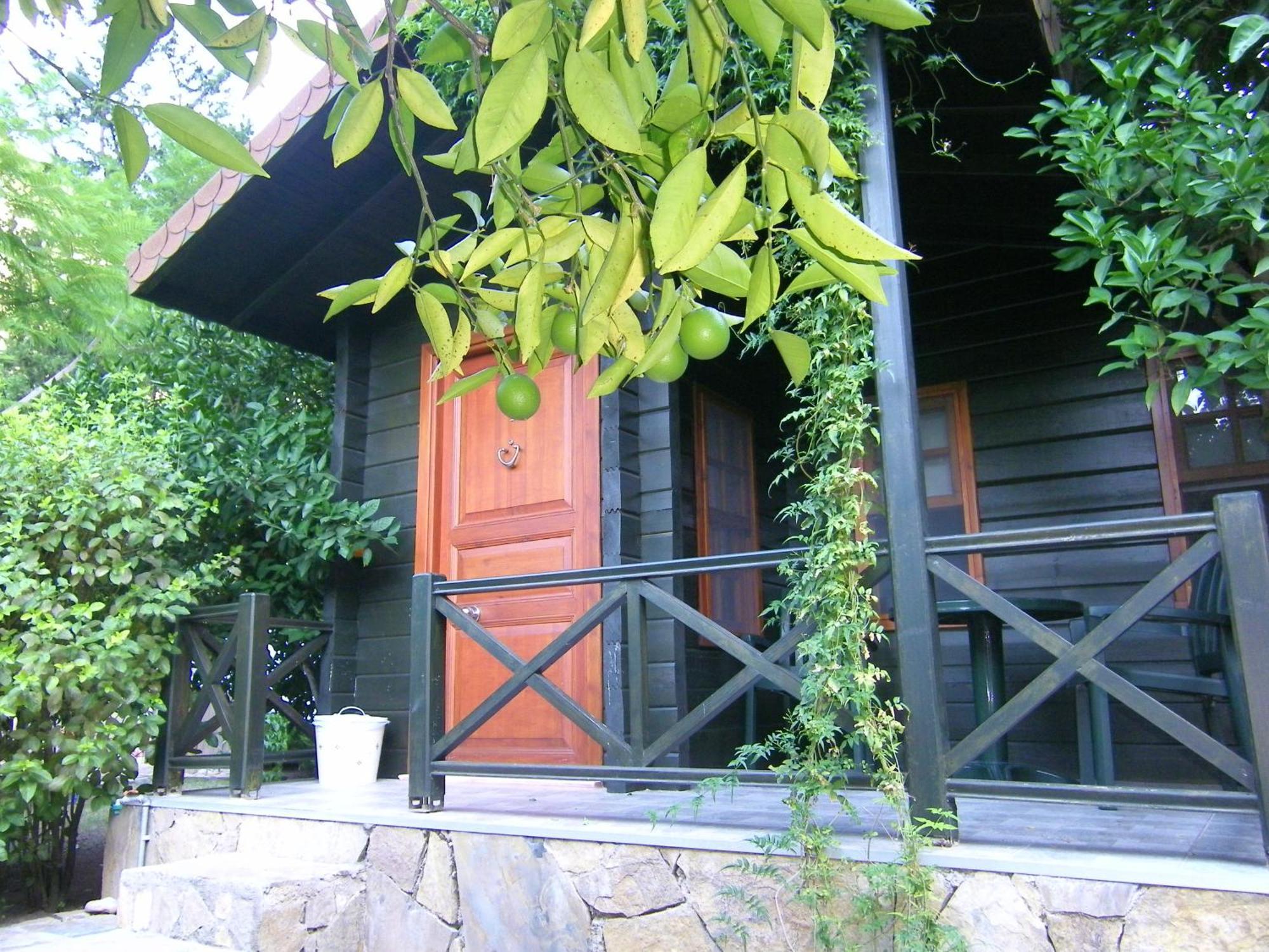 Portalimo Lodge Hotel - Adult Only +12 Çıralı 外观 照片