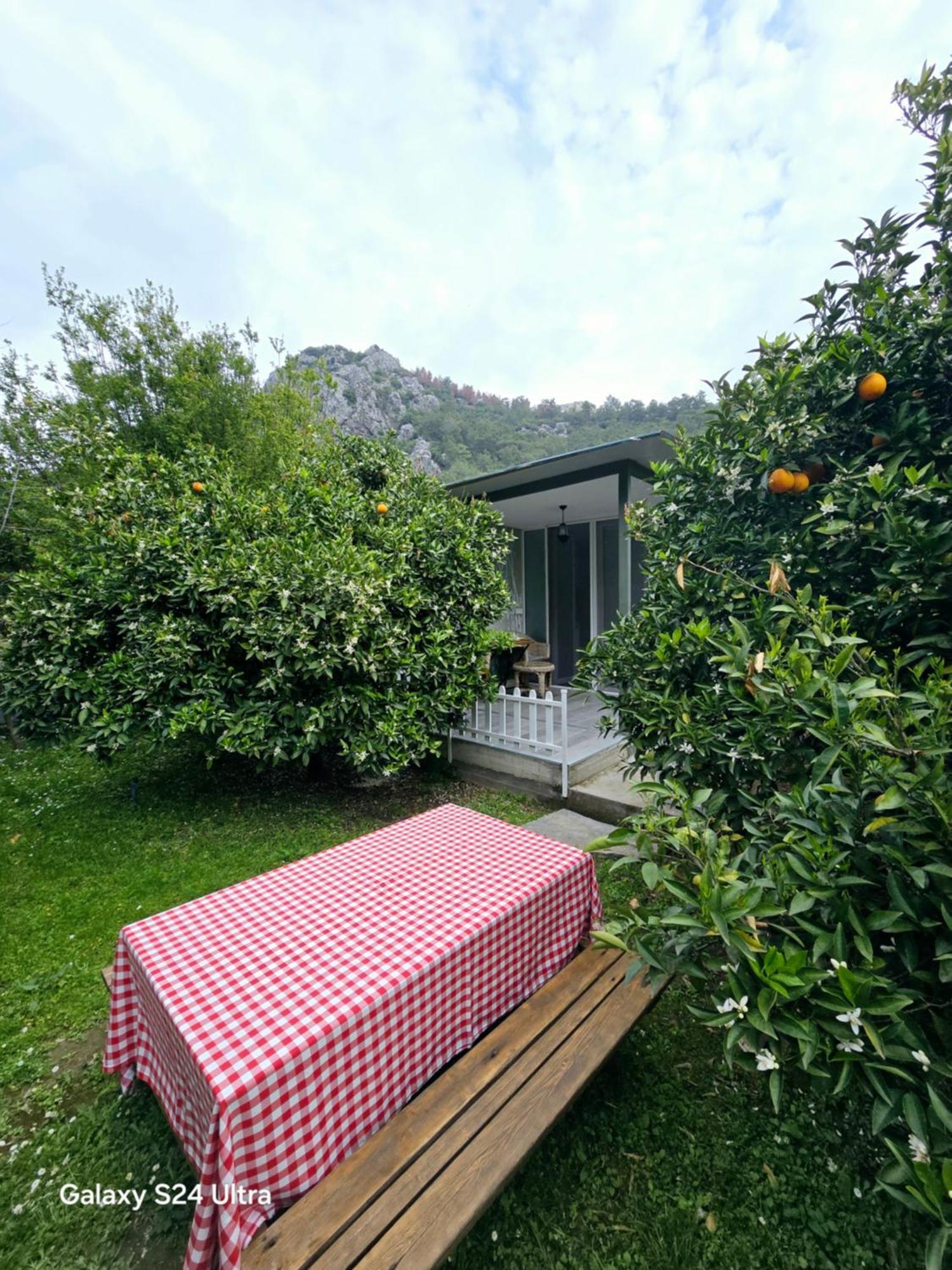 Portalimo Lodge Hotel - Adult Only +12 Çıralı 外观 照片